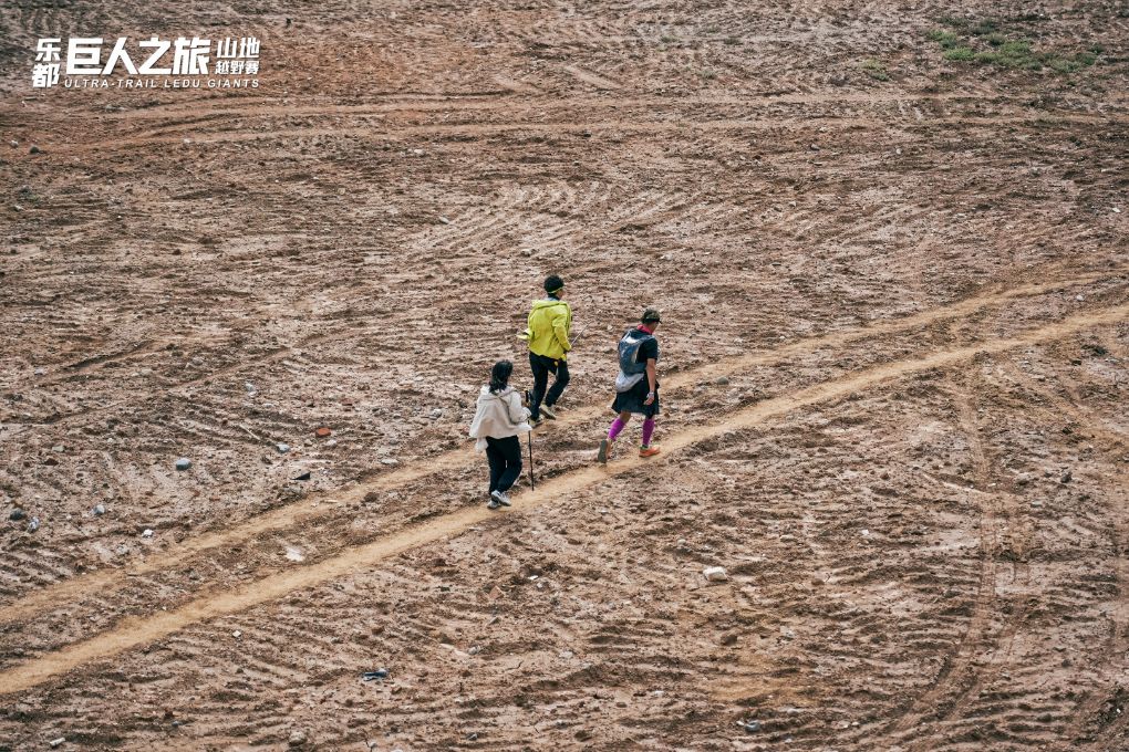 赏金船长官网相关图片