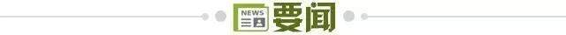 赏金船长官网展示图片