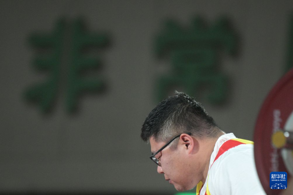 专业赏金船长官网服务